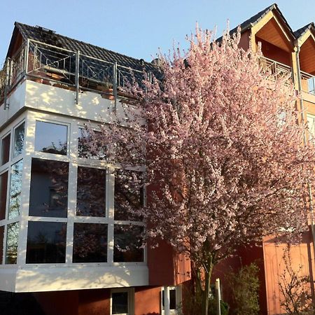 Gaestehaus Kirschgarten Bodenheim Buitenkant foto